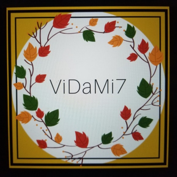 vidami7